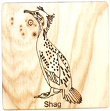 Shag 1 Square