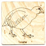 Takahe 1 Square